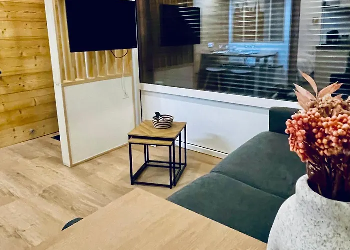 Entierement Renove Au Pied Du Telesiege Du Diable Les Deux Alpes